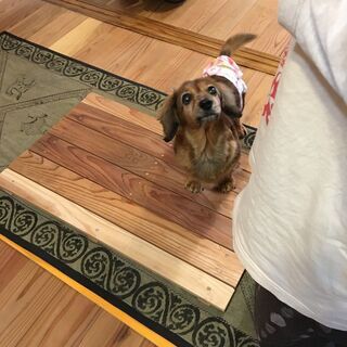 ＜9月23日＞わんにゃんお話会の画像