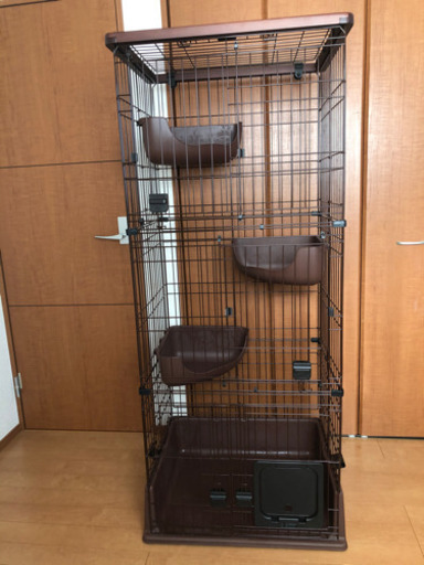 猫ゲージ三段