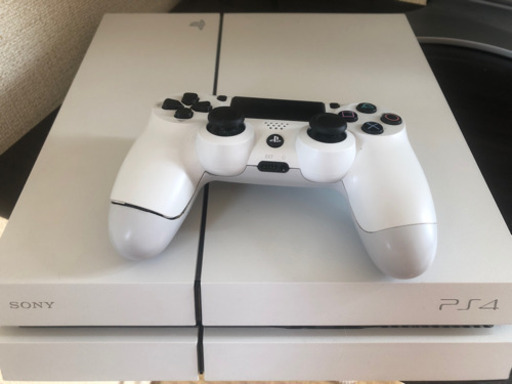 《取引終了済》PS4とアイスボーンのセット