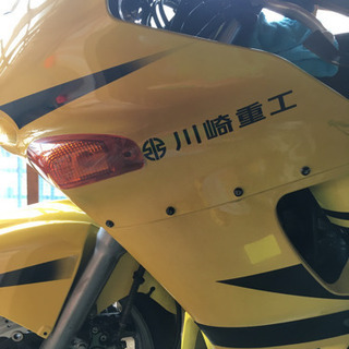 カワサキニンジャzzr400 の画像