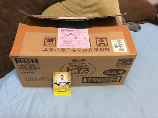 BBM プロ野球カード　大量　約15キロ