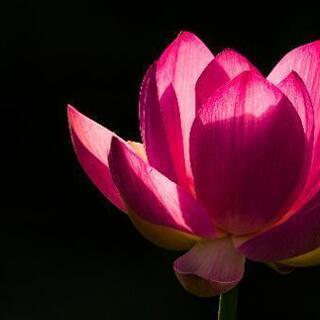 気軽に写真でも行きませんか？ - 南アルプス市