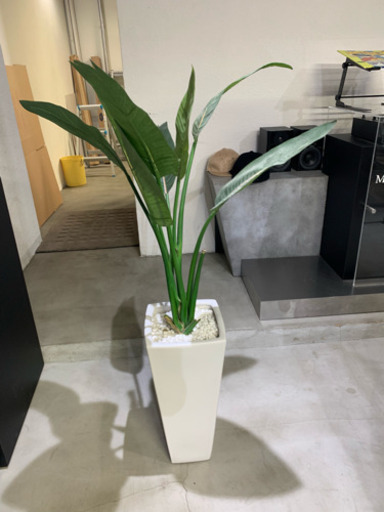 観葉植物※造花