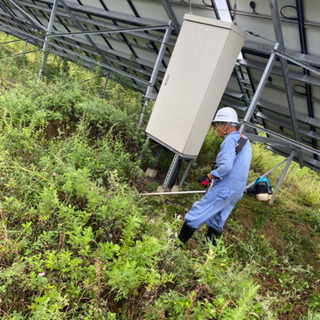 ❗急募です❗日払い❗今週日曜草刈り🌱🌱🌱の画像