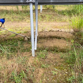 ❗急募です❗日払い❗今週日曜草刈り🌱🌱🌱