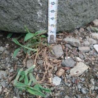 🌈　⭐　❄　臼 置物の画像