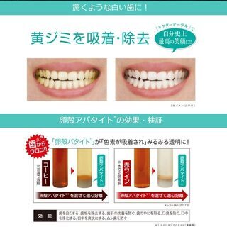 【新品】Dr.オーラル ホワイトニングパウダー 天然アパタイト40% 配合 単品 26gの画像