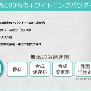 【新品】Dr.オーラル ホワイトニングパウダー 天然アパタイト40% 配合 単品 26gの画像