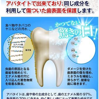 【新品】ホワイトニング 天然アパタイト 99%配合 はみがき粉 歯磨き粉 歯 ヤニ メディカルホワイト99 30-60日分の画像