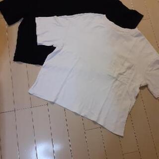 ユニクロUNIQLO ショート丈Tシャツ　白・黒2枚