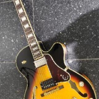 エピフォン epiphone ジョー・パス・シグネチャー emp...