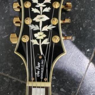 エピフォン epiphone ジョー・パス・シグネチャー emperor Ⅱの画像