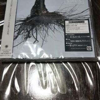 tragicomedy/SHE'S/アルバムCD （新品・未開封）