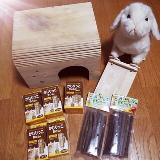 ♡ 小動物 天然木 セット ♡