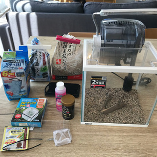 メダカ水槽セット　すぐに飼い始められます