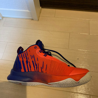 エアジョーダン　27.0cmの画像