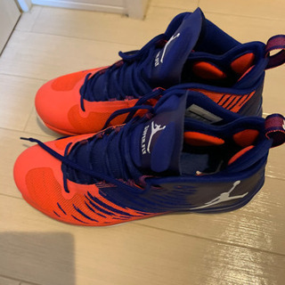 エアジョーダン　27.0cmの画像