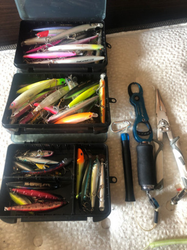 シーバス　小物