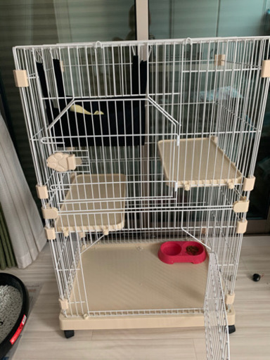 キャットゲージ二段