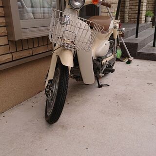 リトルカブ