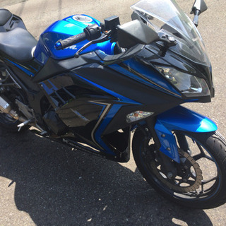 Kawasaki Ninja250 Special Editio...