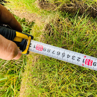●●訳あり●●お庭作りに●●ゴルフのパット練習などに！ 1m前後×1枚 高麗芝 芝生 関東圏格安配送！の画像