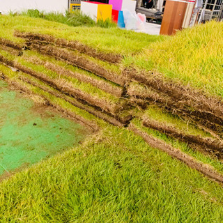 ●●訳あり●●お庭作りに●●ゴルフのパット練習などに！ 1m前後×1枚 高麗芝 芝生 関東圏格安配送！の画像