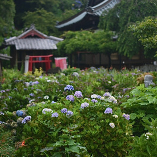 一緒に撮影散歩しませんか？
