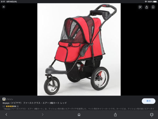 イビヤヤのファーストクラス ペットバギーです。