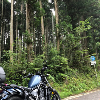 女性ツーリング仲間を探しています。