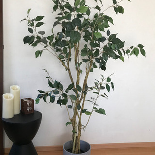 フェイクグリーン　フィカス　150cm 観葉植物