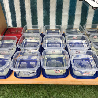 ゴールデンメダカ無人販売所 オーロラ黒ラメ 黄桜ラメ 紅帝ラメ スターダスト ダルマなどの画像