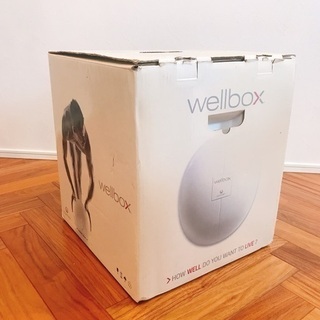 家庭用エンダモロジー　wellboxの画像