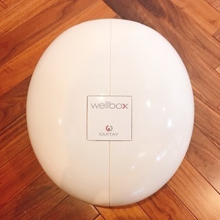 家庭用エンダモロジー　wellboxの画像