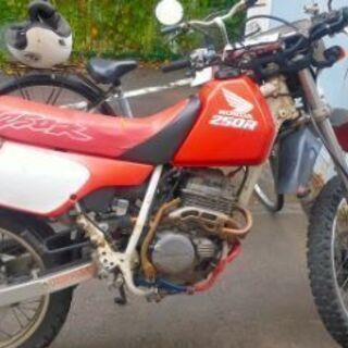XLR250R MD22　HONDA　自賠責有