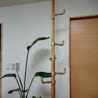 天井つっぱり  服&かばん掛け