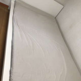 大きなベット セット