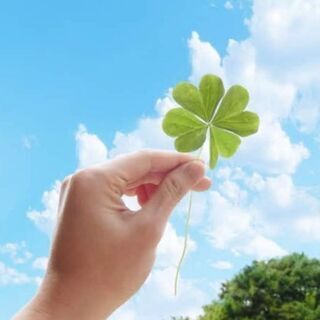 無料お悩み相談、募集中です🌿