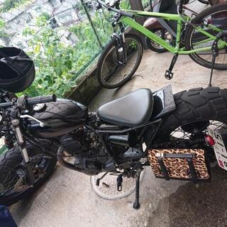 YAMAHA TW200の画像