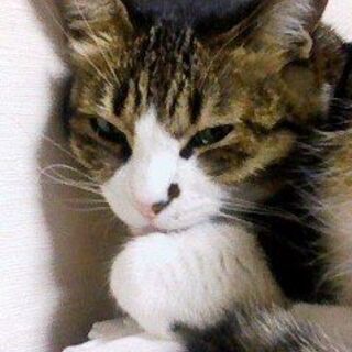 友達募集