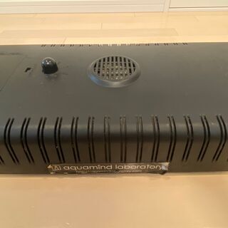♥激レア♥ ADA GREEN GLOW 604 アクアデザイン...