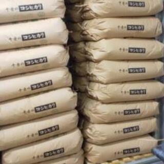 木更津産令和2年産コシヒカリ