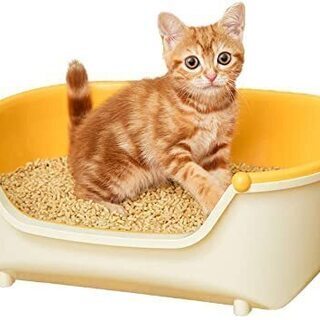 🍎未使用？花王 ニャンとも清潔トイレセット ドームタイプ マット・シート・紙砂付きの画像