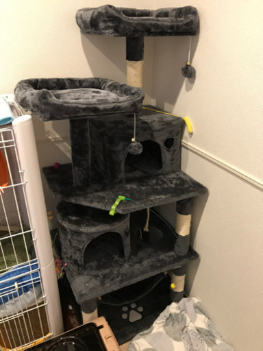 キャットタワー（新品）