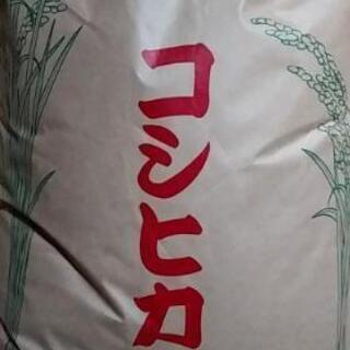 玄米30㎏