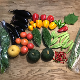夏野菜セット(一部無農薬)9/7中のご注文のみ！