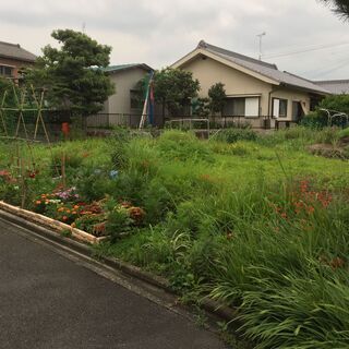 荒れ地を畑に！！大塚農場参加者募集