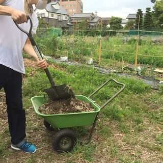 荒れ地を畑に！！大塚農場参加者募集 - その他