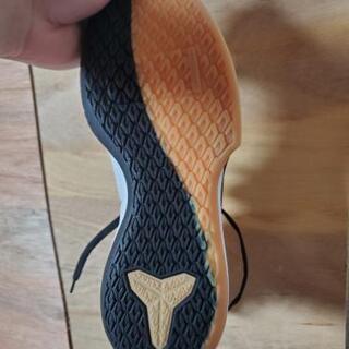 コービー・ブライアントバッシュの画像