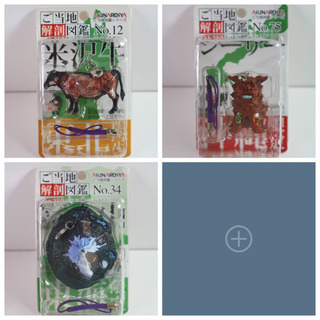 ご当地 解剖図鑑 生産終了 激レアの画像